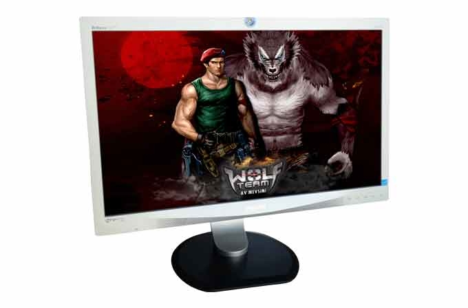 Philips 231P4QRYES/00