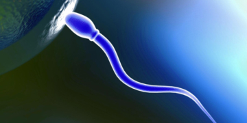 Araştırmacılar "uzaktan kumandalı sperm" geliştirdi
