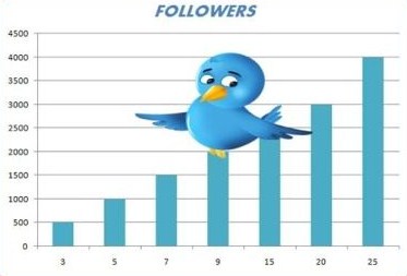 twitterfollowers