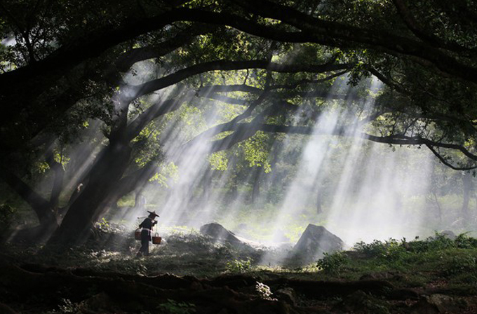 Galeri: National Geographic Fotoğraf Yarışması’nda dikkat çeken fotoğraflar