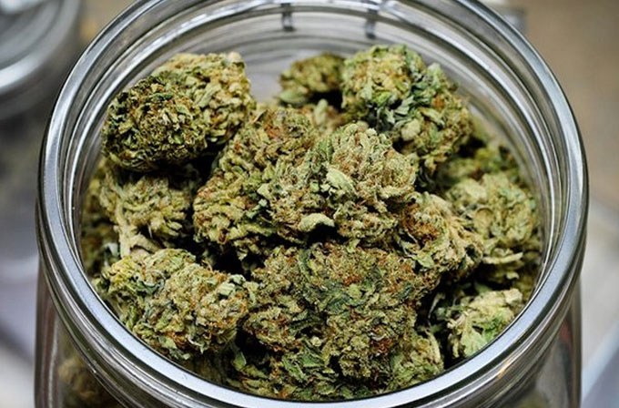 Dünyanın ilk marijuana otomatı servise açıldı
