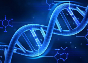 Bilim insanları, DNA için GPS üzerinde çalışıyorlar