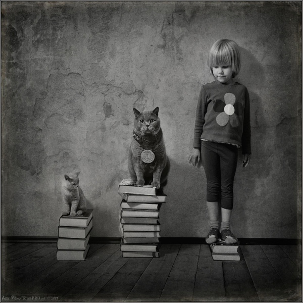 kiz ve kedi (1)