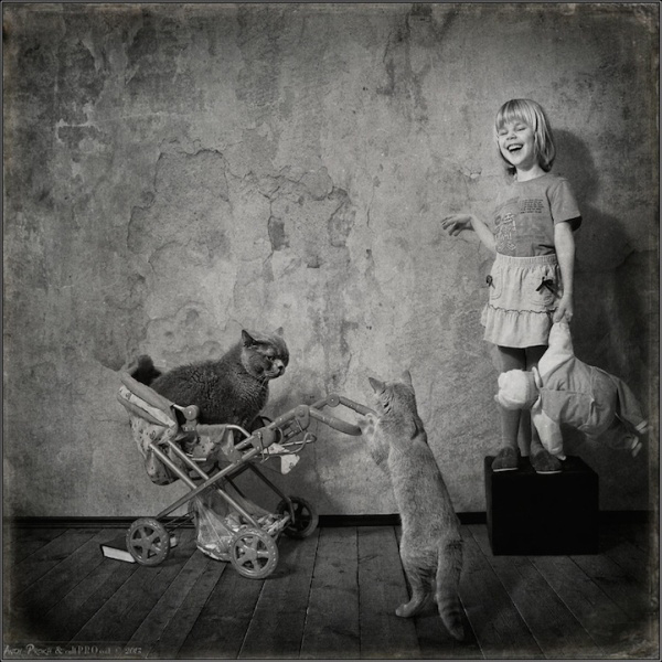 kiz ve kedi (10)