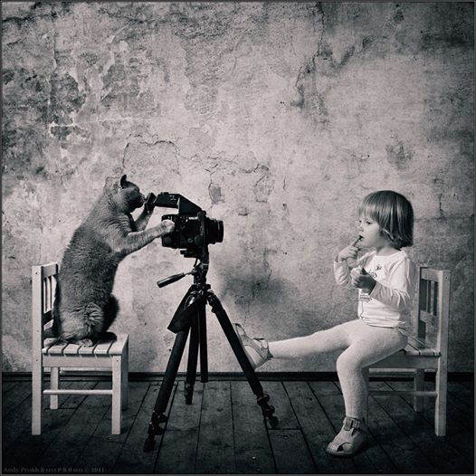 kiz ve kedi (8)