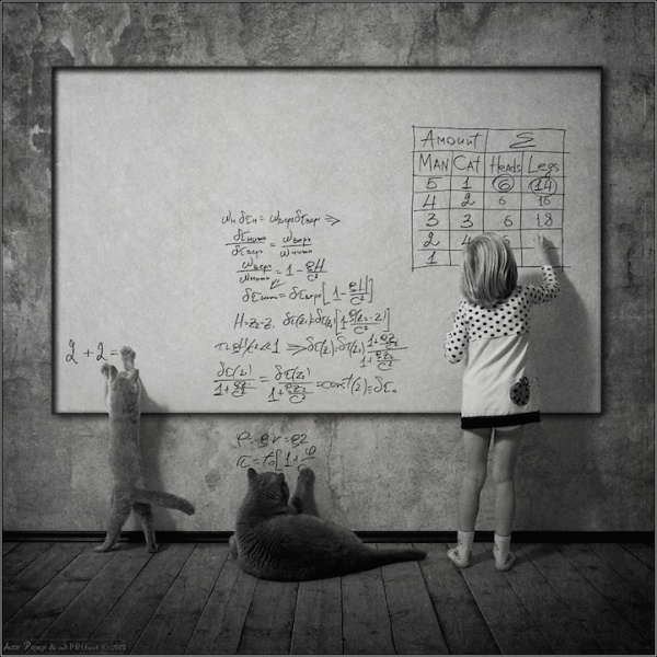 kiz ve kedi (9)