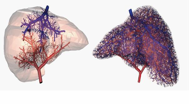 Araştırmacılar artık 3D yazıcıyla çalışan kan damarı üretebiliyor Kan Damarları