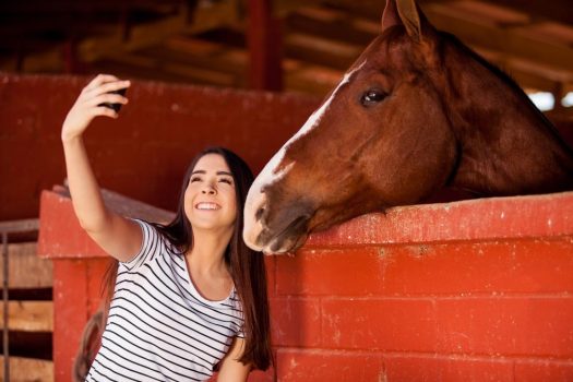 horse-selfie-1000x667