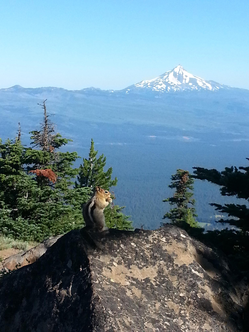 Graham-Cowles---Samsung-Galaxy-S-III