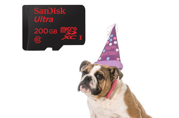 microSDsandisk