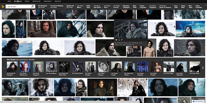 bing (3)