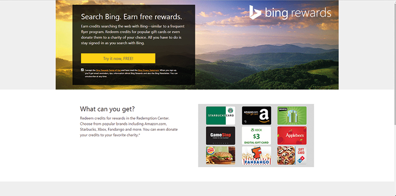 bing (6)
