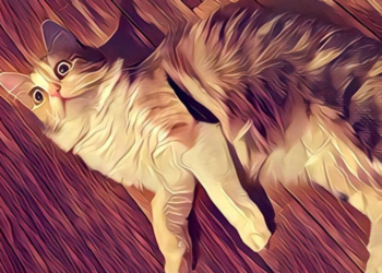 Prisma, Android İçin Erişime Açıldı