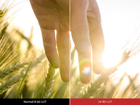 3-14-bit-lut-and-3d-lut