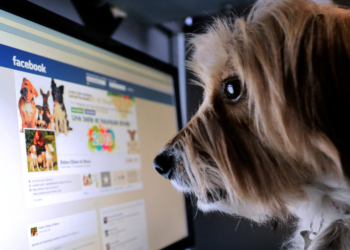 Facebook Yanlış Haberler için Bildirim Sistemi Getiriyor
