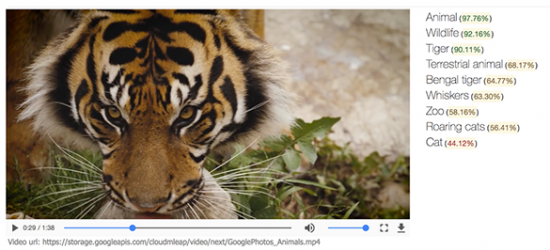 Google, Videolarda Yer Alan Objeleri Yapay Zeka ile Tanıyabiliyor