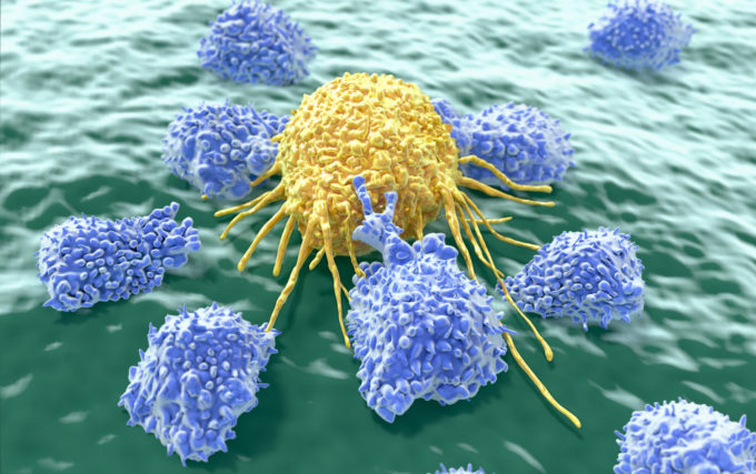 Bilimadamları Canlı Farenin Genini Değiştirerek HIV'i Yok Etti