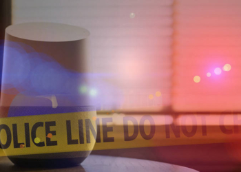 Google Home, Muhtemel Bir Cinayeti "Yanlışlıkla" Polisi Arayarak Önledi