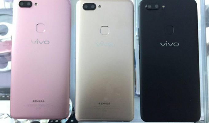 vivo
