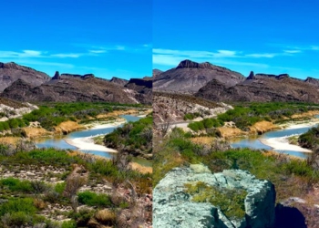 Adobe'nin Yapay Zeka Aracı Fotoğrafları Anında Düzenlemeyi Sağlıyor