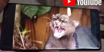 YouTube, 16:9'dan Büyük Ekranlar İçin Tam Ekran Modu Getirdi!
