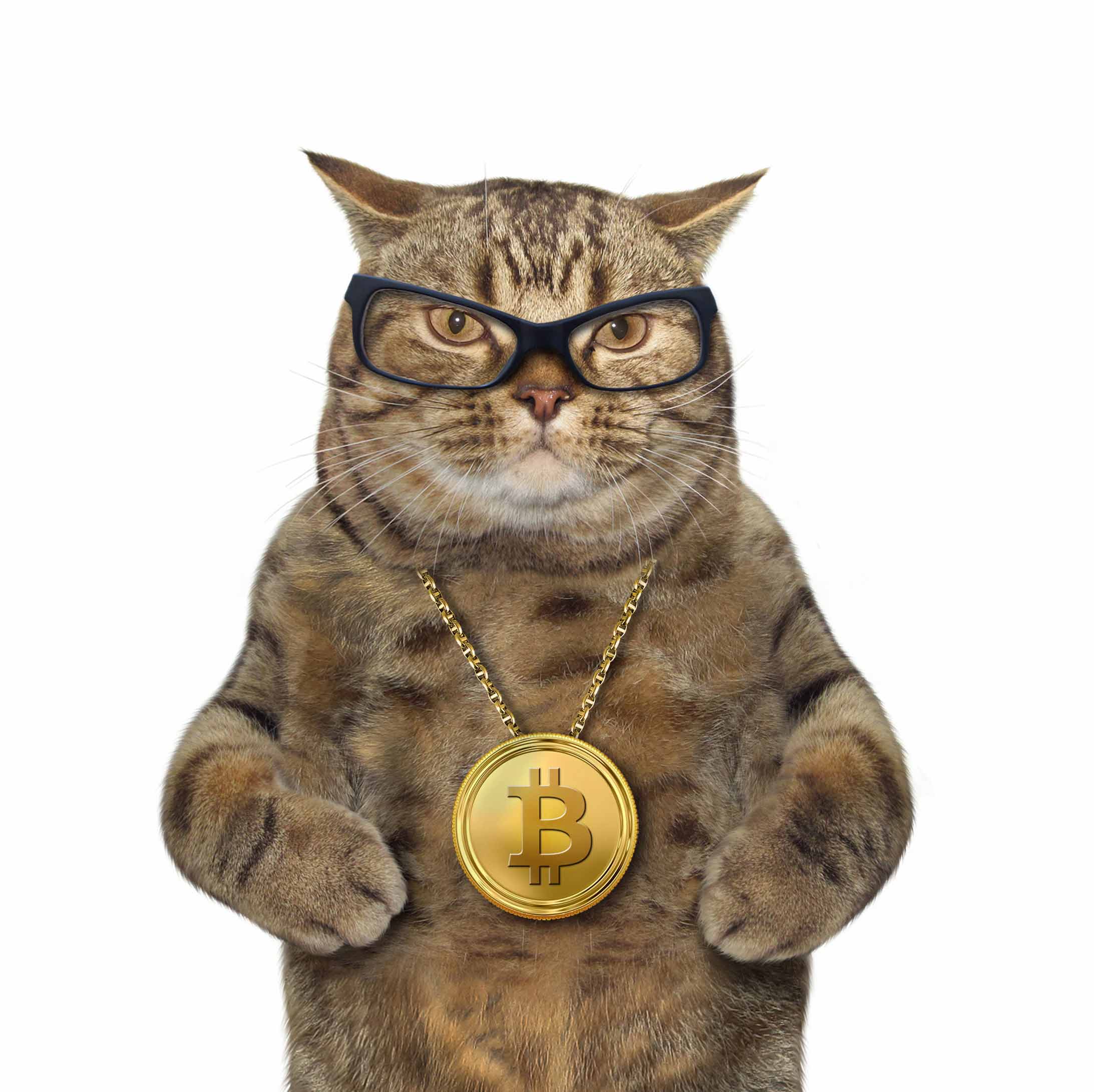Bitcoin ve Dijital Para Rehberi | HWP Özel