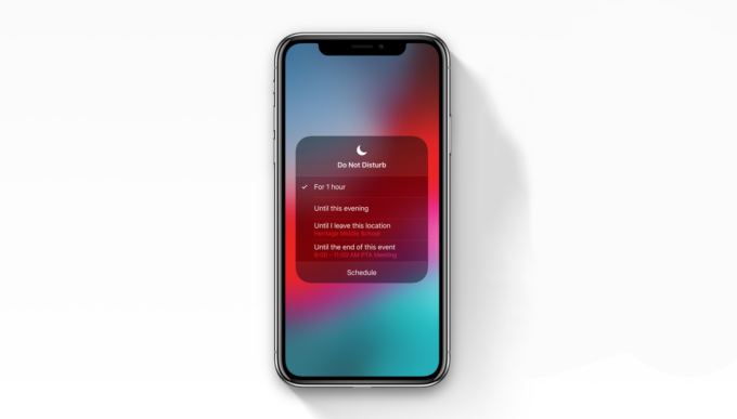 iOS 12 Rahatsız Etme