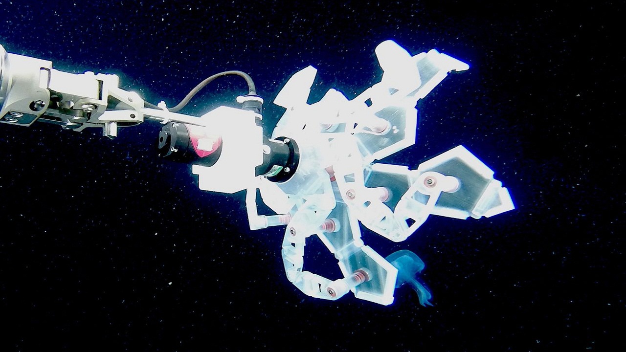 Harvard Üniversitesinin geliştirdiği robot kol