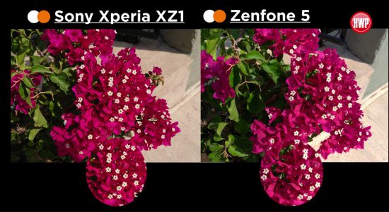 ASUS Zenfone 5 vs Xperia XZ1 kamera karşılaştırması