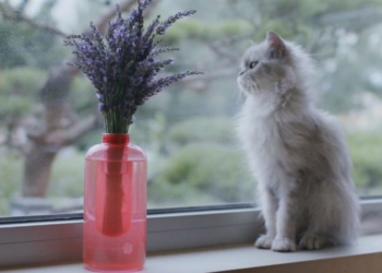 Samsung , Firevase ile yangın söndürecek.