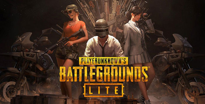 Pubg lite сколько весит