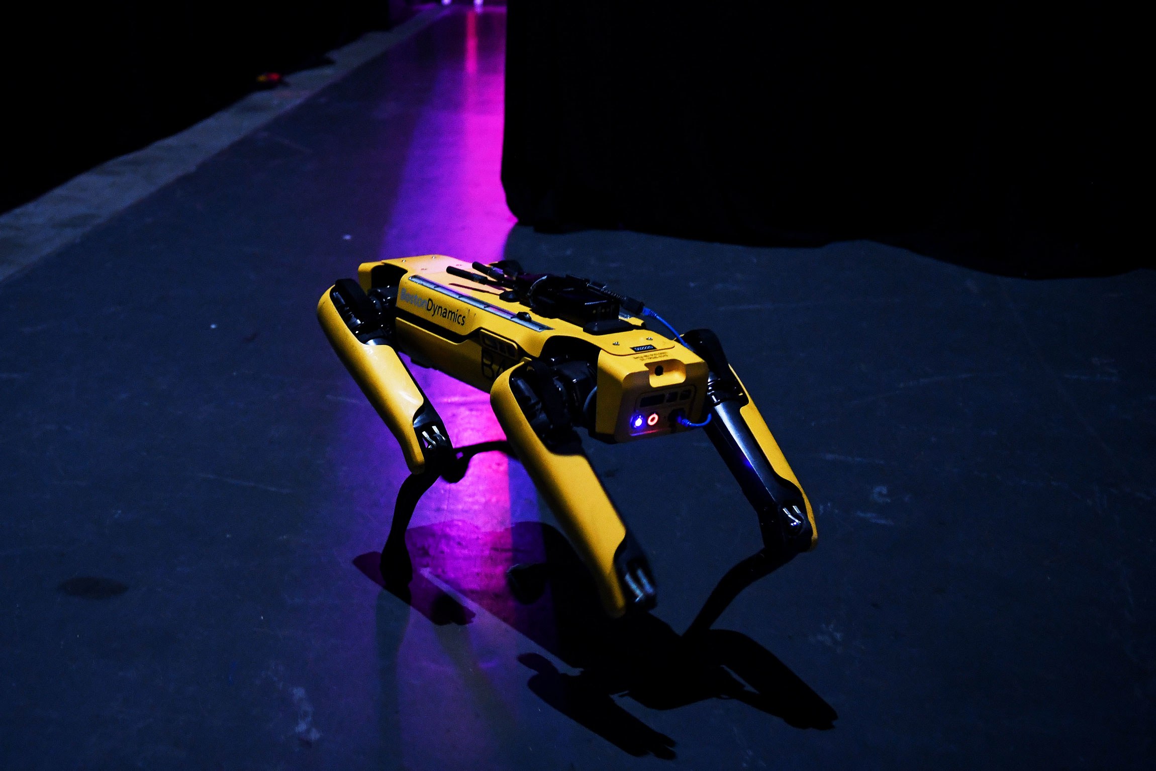 boston dynamics robot spot