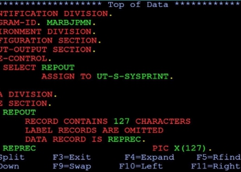 COBOL programcısı aranıyor!