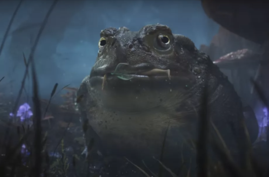 Fable serisinin yeni oyunu tanıtıldı
