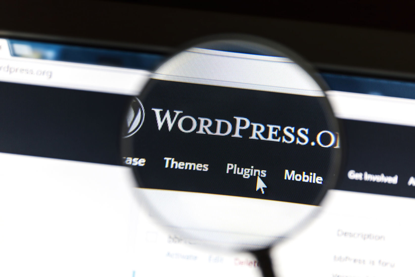Apple, Wordpress güncellemelerini de engelledi!