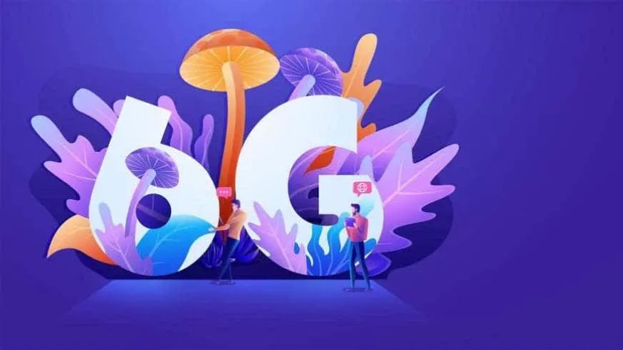 6G