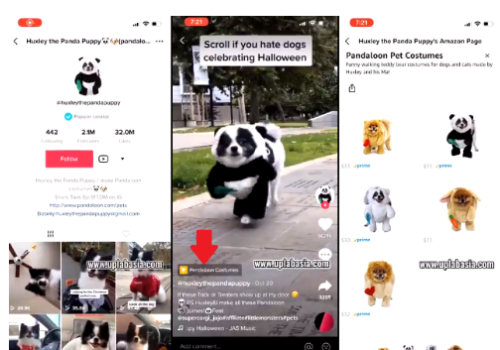 TikTok, Shopify ile yeni ortaklığını duyurdu
