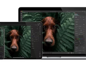 Adobe