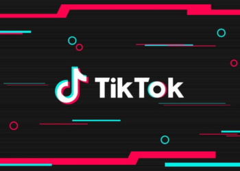 TikTok Hindistan