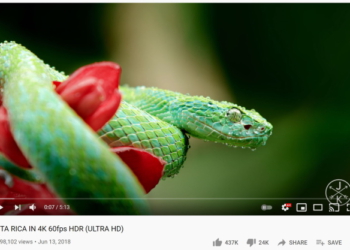 youtube hdr