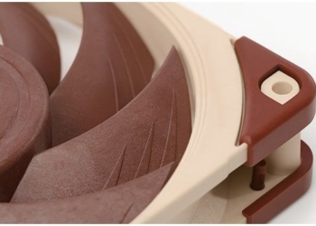 noctua