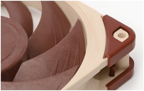 noctua