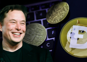 Elon Musk Dogecoin fiyatını düşürdü!