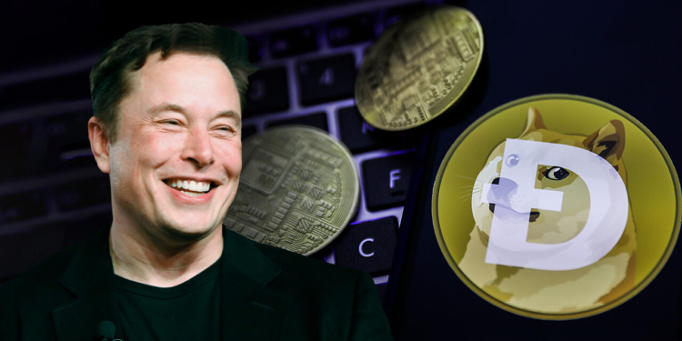 Elon Musk Dogecoin fiyatını düşürdü!