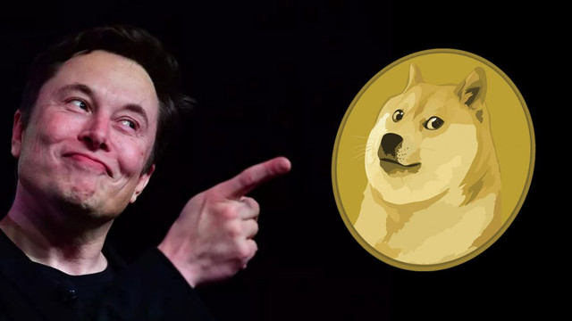 Elon Musk Dogecoin