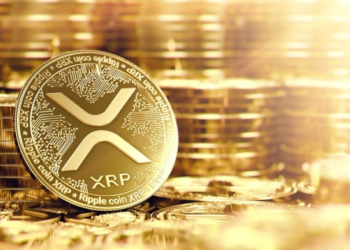 XRP fiyatı %12 düştü!