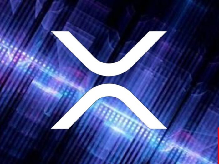 PayBito