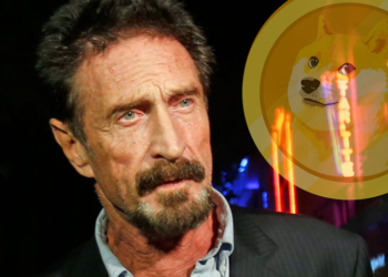John McAfee Dogecoin hakkında konuştu