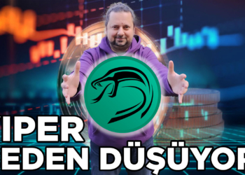 VIPER SWAP Gelirleri Neden Düştü?