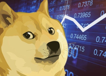 Dogecoin geliştiricileri: Elon Musk ile 2019’dan beri konuşuyoruz